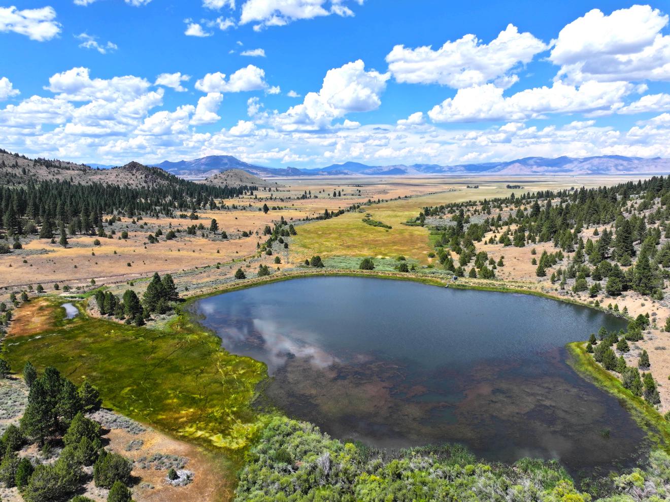 Antelope Valley Ranch